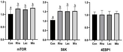 Lactobacillus rhamnosus GG ATCC53103 and Lactobacillus plantarum JL01 improved nitrogen metabolism in weaned piglets by regulating the intestinal flora structure and portal vein metabolites